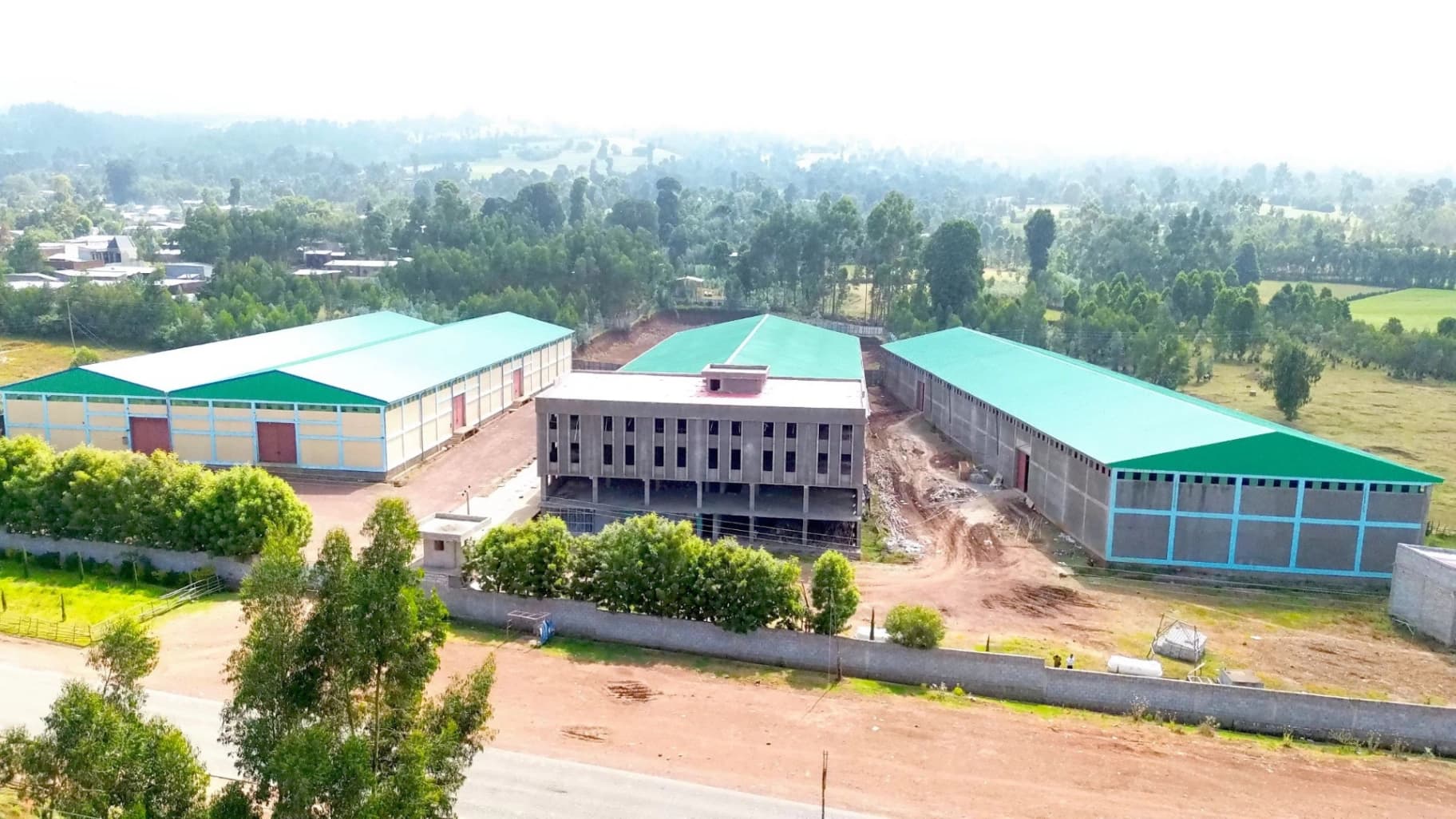 Community Initiative: Supporting Local Wheat Farmers